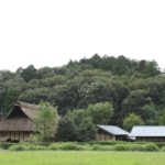 Thumbnail of post image 125